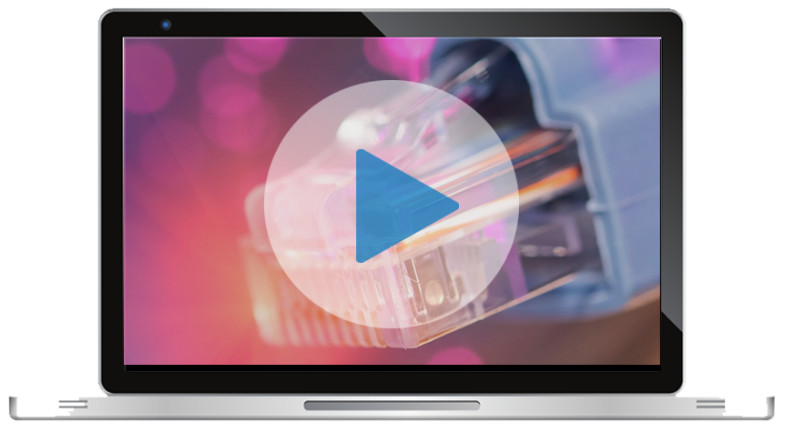 Is your network ready for AI webinar